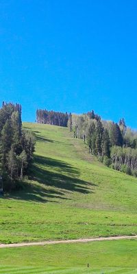 IMG_0763